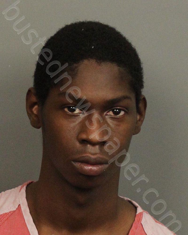JOHNSON, ALONZO SECOND #, Jefferson County, Alabama - 2024-07-25 10:22:00