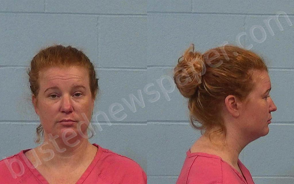BURRIER, SHARI NICOLE #, Williamson County, Texas - 2024-07-25