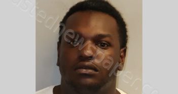 BRINSON WILLIAM DAVID | 2024-07-26 Leon County, Florida Booking