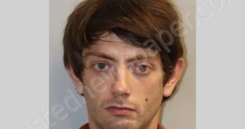 BROWN WESLEY VANCE | 2024-07-26 Leon County, Florida Booking