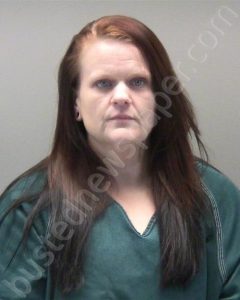 FEGEL, STEPHANIE NICOLE | 2024-07-27 12:01:00 Montgomery County, Ohio Booking