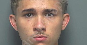 HOGAN, JOHN ASHTON | 2024-07-27 06:20:00 Montgomery County, Texas Booking