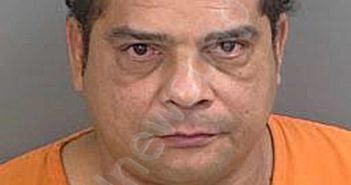 DELRIOMARTINEZ,OILIME | 2024-07-28 Collier County, Florida Booking