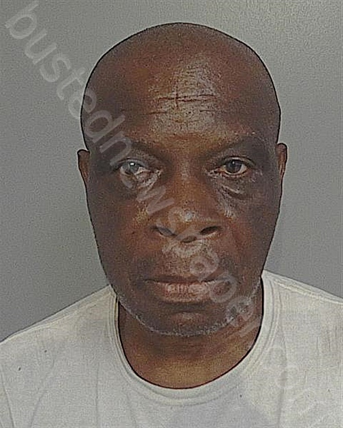 CECIL JEMMOTT #, Osceola County, Florida - 2024-07-28