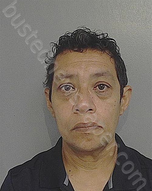 ERICKA JOHANNA REYES #, Osceola County, Florida - 2024-07-28