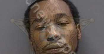 <B>COLEMAN</B>,<B>DARRELL</B> JR #, Hillsborough County, Florida - 2024-07-29 23:00:00