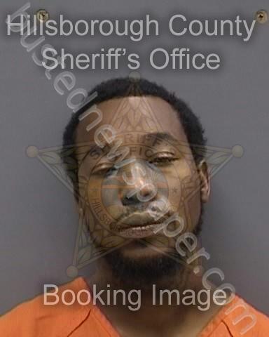COLEMAN,DARRELL JR #, Hillsborough County, Florida - 2024-07-29 23:00:00