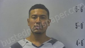 VARGAS ALVARADO, JOSHUA Y | 2024-07-29 02:57:00 Pulaski County, Indiana Booking