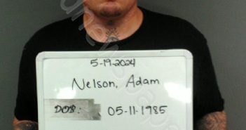 NELSON, ADAM WAYNE | 2024-07-29 16:38:00 Sebastian County, Arkansas Booking