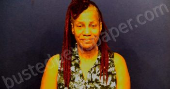 LEWIS, JEANETTA MARIE | 2024-07-29 18:30:00 Victoria County, Texas Booking