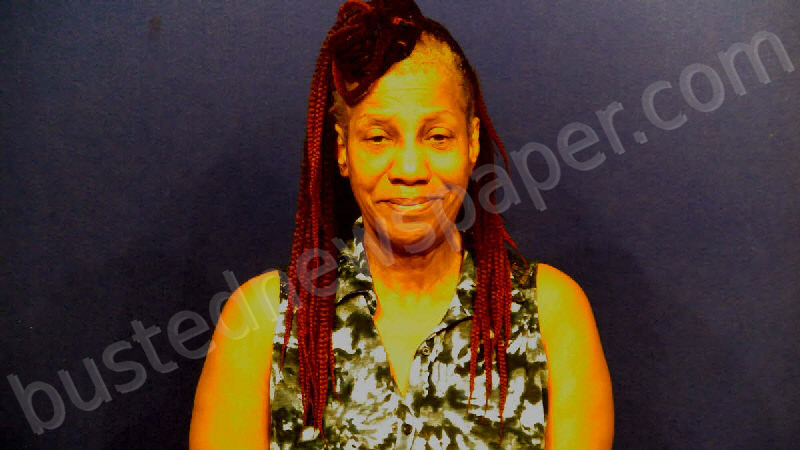 LEWIS, JEANETTA MARIE #, Victoria County, Texas - 2024-07-29 18:30:00