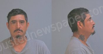 HERNANDEZ, BARTOLO ALVAREZ | 2024-07-29 Hidalgo County, Texas Booking