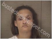 LOCKLEAR, BRANDY | 2024-07-30 Harnett County, North Carolina Booking