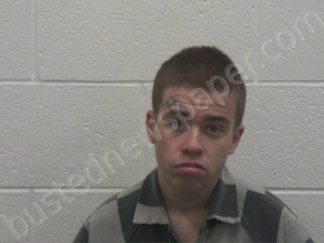 THOMAS, SKYLER DWIGHT #, Loudon County, Tennessee - 2024-07-30 03:25:00