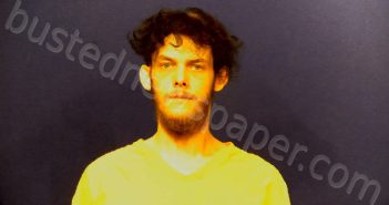 DAVIS, DAMIAN SHAY | 2024-07-30 10:15:00 Victoria County, Texas Booking