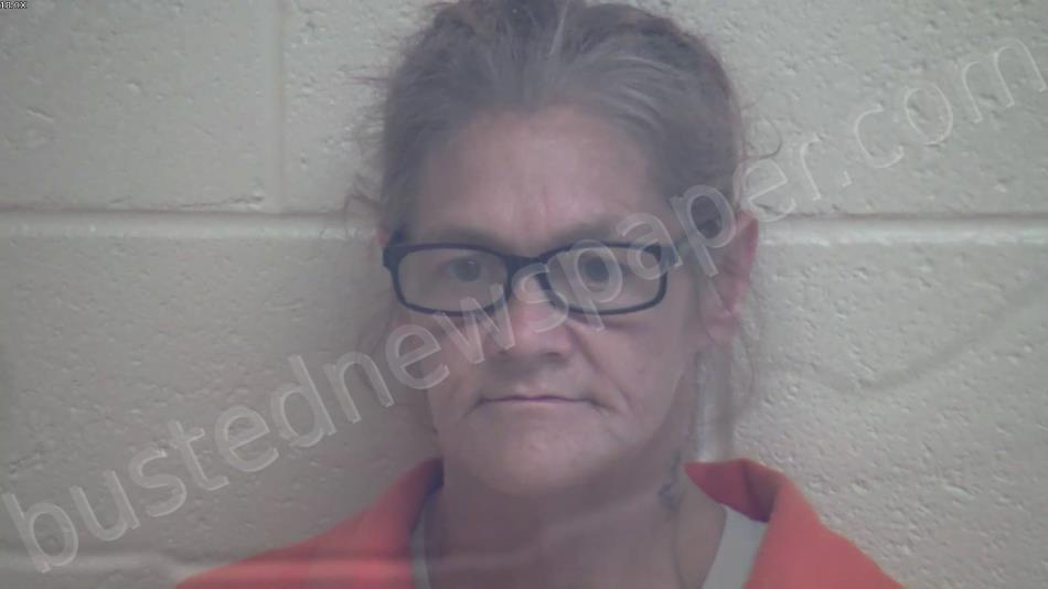 NASBITT, AMY LYNN #, Webster County, Kentucky - 2024-07-30 14:44:00