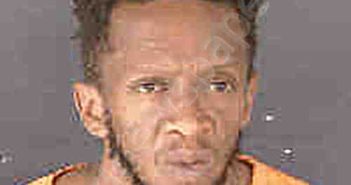 <B>WILLIAMS</B>, <B>DAVID</B> <B>MICHAEL</B> #, Sarasota County, Florida - 2024-07-31
