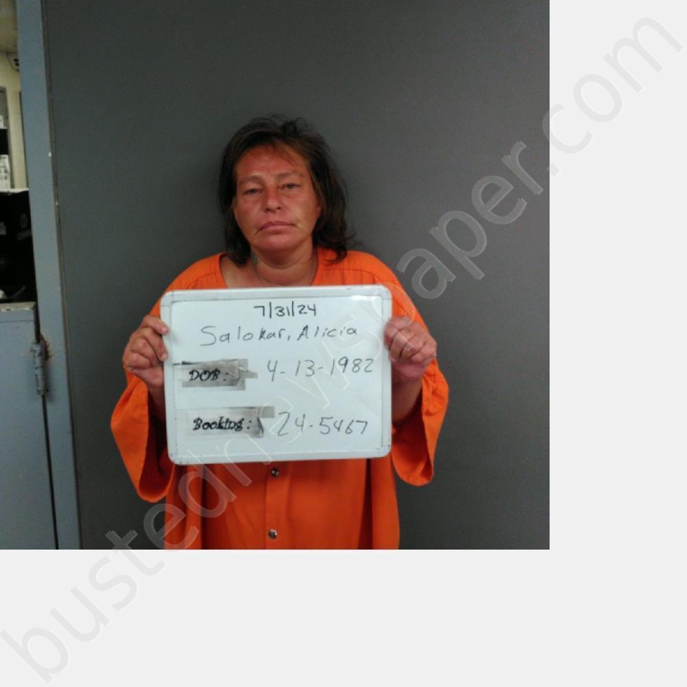 SALOKAR, ALICIA IVY #, Sebastian County, Arkansas - 2024-07-31 09:55:00