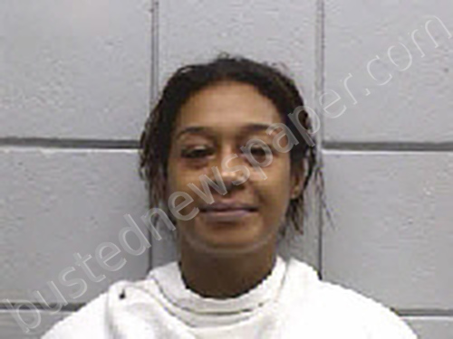 WILLIAMS, MYCHEL ELISE #, Navarro County, Texas - 2024-07-31 21:36:00