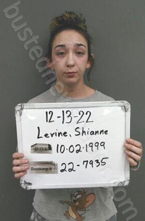 LEVINE, SHIANNE ROSE #, Sebastian County, Arkansas - 2024-07-31 13:48:00