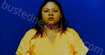 HERNANDEZ, NEREYDA | 2024-07-31 22:02:00 Victoria County, Texas Booking