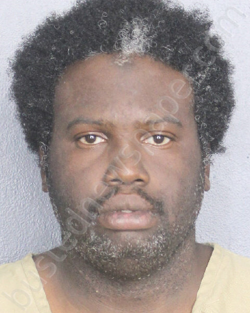ROBERSON, MAITLAND MARK #, Broward County, Florida - 2024-07-31