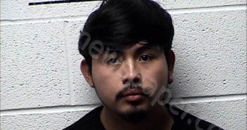 PIRIR VICENTE, ELVIS ROCAEL | 2024-08-01 Chase County, Kansas Booking