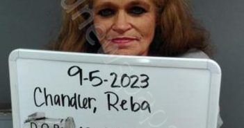 CHANDLER, REBA SUE | 2024-08-01 12:35:00 Sebastian County, Arkansas Booking