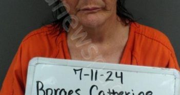 BORGES, CATHERINE MARIE | 2024-08-01 13:07:00 Sebastian County, Arkansas Booking