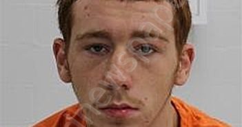 SAVAGE, ROBERT JAMES | 2024-08-02 11:10:00 Fayette County, Pennsylvania Booking