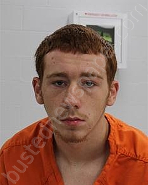 SAVAGE, ROBERT JAMES #, Fayette County, Pennsylvania - 2024-08-02 11:10:00