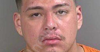 ANDRADE,JAIR | 2024-08-03 Collier County, Florida Booking