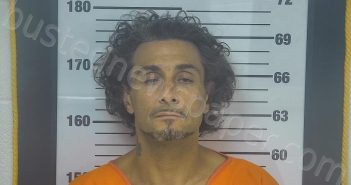 DIXON, ANTHONY WAYNE | 2024-08-03 15:11:00 Ottawa County, Ohio Booking