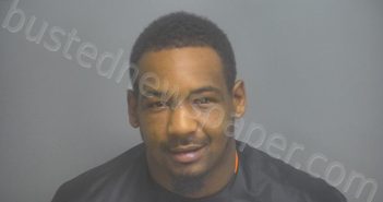 BRYANT, DEMONTE TREON | 2024-08-04 16:50:00 Amherst County, Virginia Booking