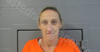 DUNN, MANDY LYNN | 2024-08-05 15:35:00 Ohio County, West Virginia Booking