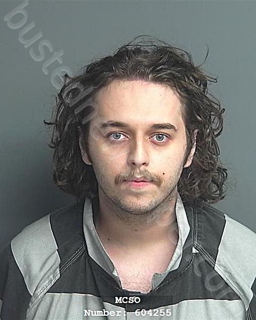 IRIMIA, ANDREI ELIAM #, Montgomery County, Texas - 2024-08-06 19:09:00