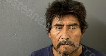 HERNANDEZ, MAURICIO ANTONIO | 2024-08-06 03:44:00 Hardee County, Florida Booking