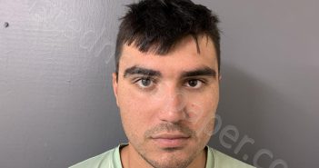 MORENO, ISAAC ANTHONY | 2024-08-06 12:00:00 Hardee County, Florida Booking