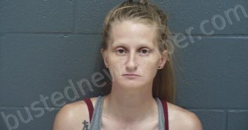 JOHNSON, JESSICA ELAINE | 2024-08-06 18:04:00 Montgomery County, Indiana Booking