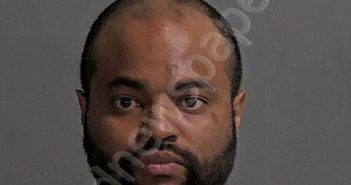 REESE, MICHAEL A JR | 2024-08-06 Sandusky County, Ohio Booking