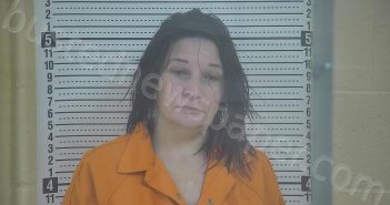 LYVERS, ALISHA MAE | 2024-08-07 10:39:00 Taylor County, Kentucky Booking