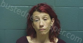 COX, RHIANNA MICHELLE | 2024-08-07 03:37:00 Montgomery County, Indiana Booking