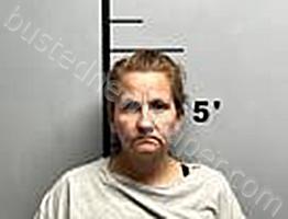 STEPHENSON, JENNY SUE #, Benton County, Arkansas - 2024-08-08