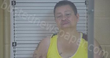 ROGERS, SHANNON L | 2024-08-08 02:05:00 Taylor County, Kentucky Booking