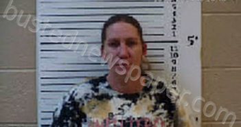 ROBINSON, KYMBERLY MICHELLE | 2024-08-09 13:27:00 Cherokee County, North Carolina Booking