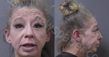 FREY, LEIGH ANNA | 2024-08-09 14:23:00 Madison County, Indiana Booking