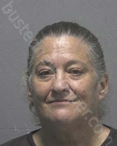 BORGESON, SHERI LYNN #, New Hanover County, North Carolina - 2024-08-09