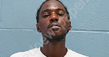 <B>TERRENCE</B> <B>DARNELL</B> <B>FULLER</B> #, Lee County, Alabama - 2024-08-09