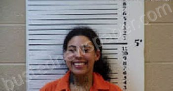 SMITH, ADRIANA KHERA DAWN | 2024-08-10 00:39:00 Cherokee County, North Carolina Booking