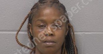 STERRETT, JOANNA V | 2024-08-11 11:36:00 Will County, Illinois Booking
